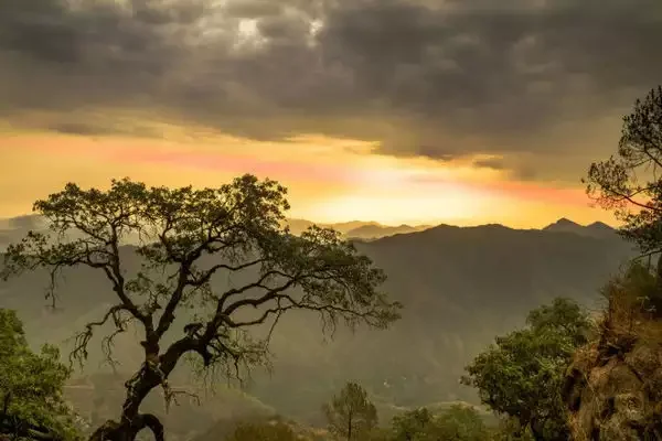 width-600,height-400,msid-64254277 width-600,height-400,msid-64254277