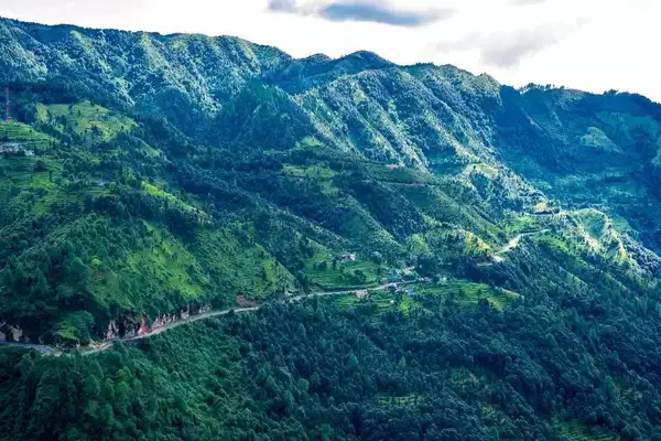 width-600,height-400,msid-91008812 width-600,height-400,msid-91008812