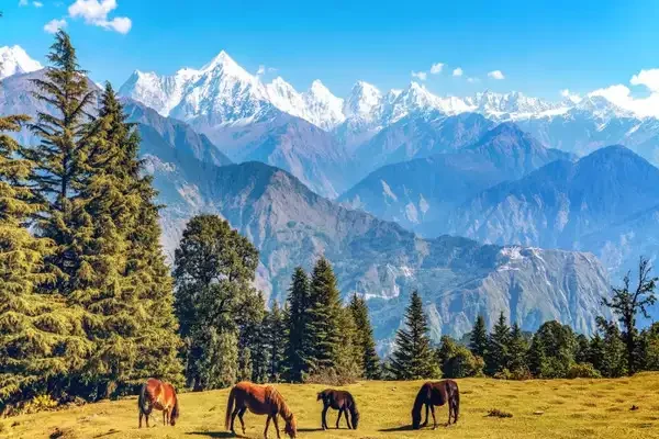 width-600,height-400,msid-93903117 width-600,height-400,msid-93903117